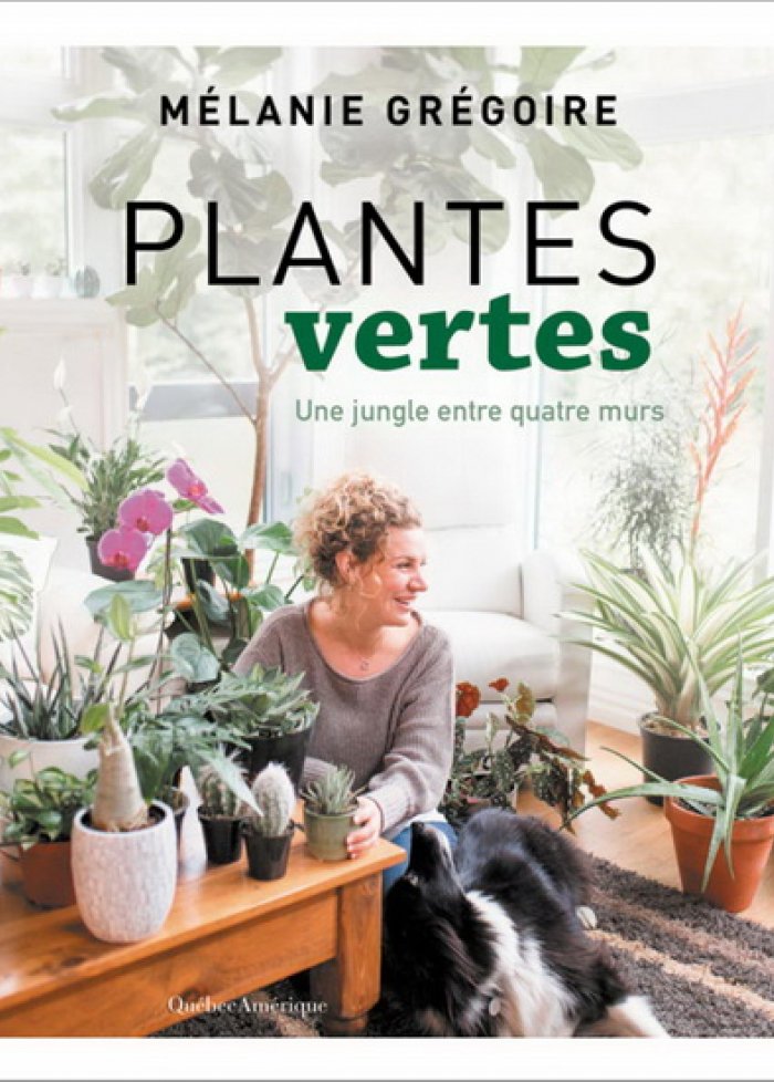 Plantes vertes : une jungle entre quatre murs