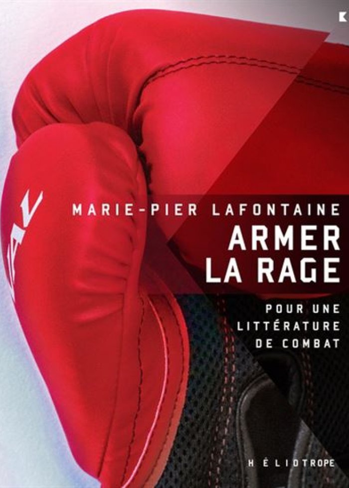Armer la rage : pour une littérature de combat
