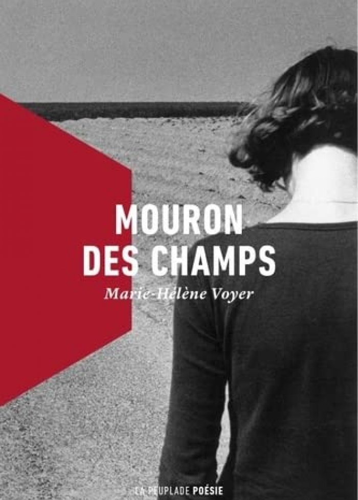 Mouron des champs
