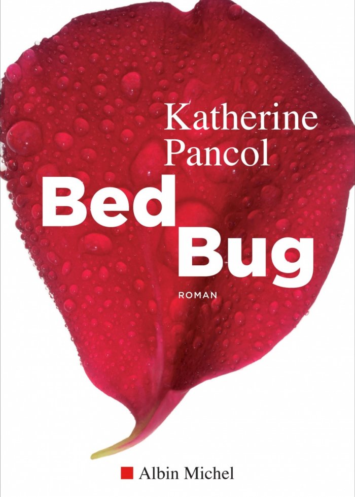 Bed bug