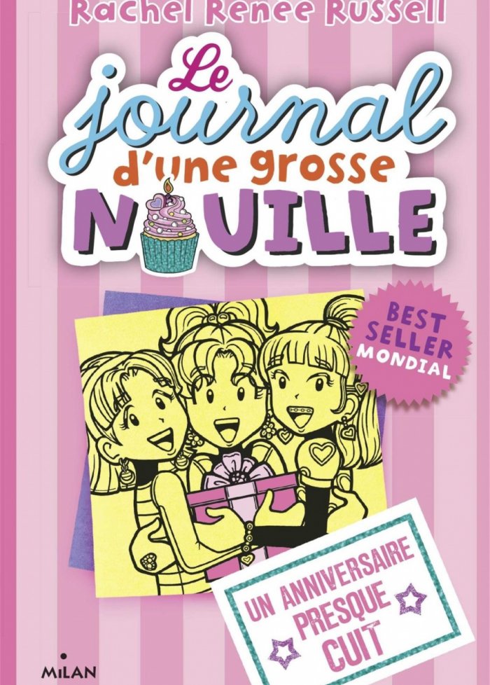 Le journal d'une grosse nouille t.13 Un anniversaire presque cuit