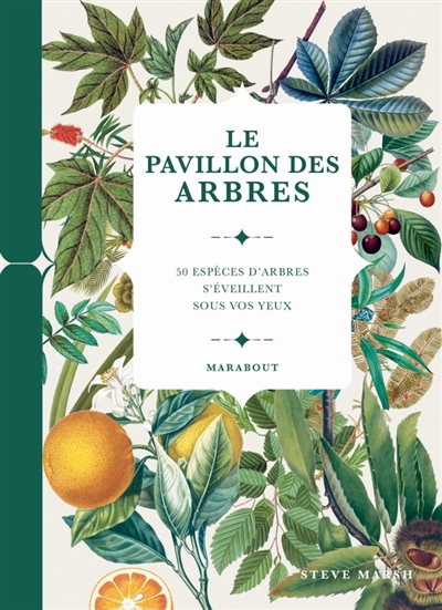 Le pavillon des arbres
