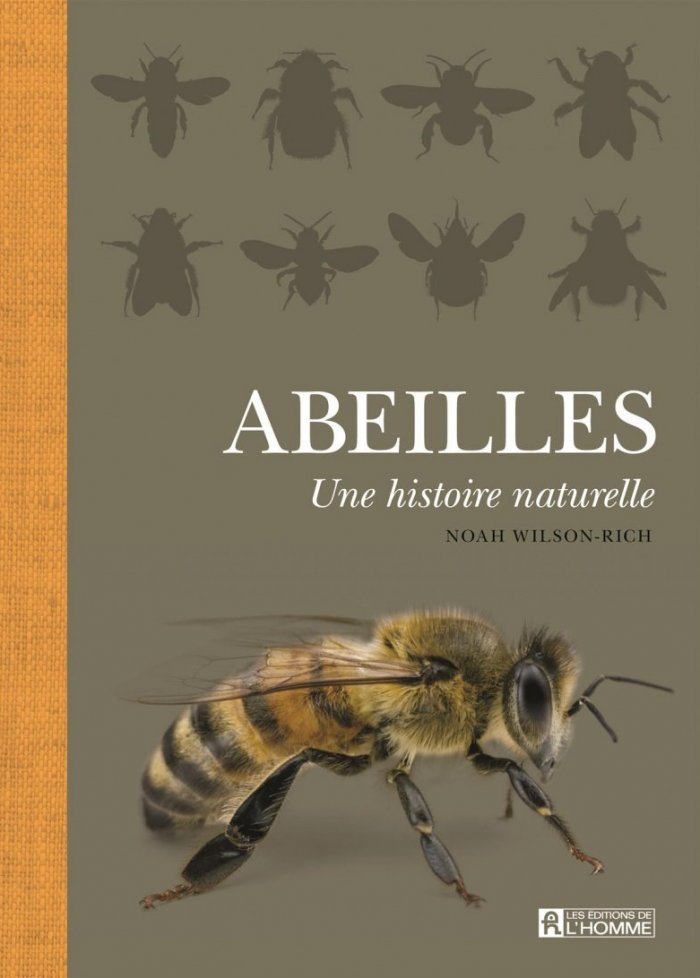 Abeilles : une histoire naturelle