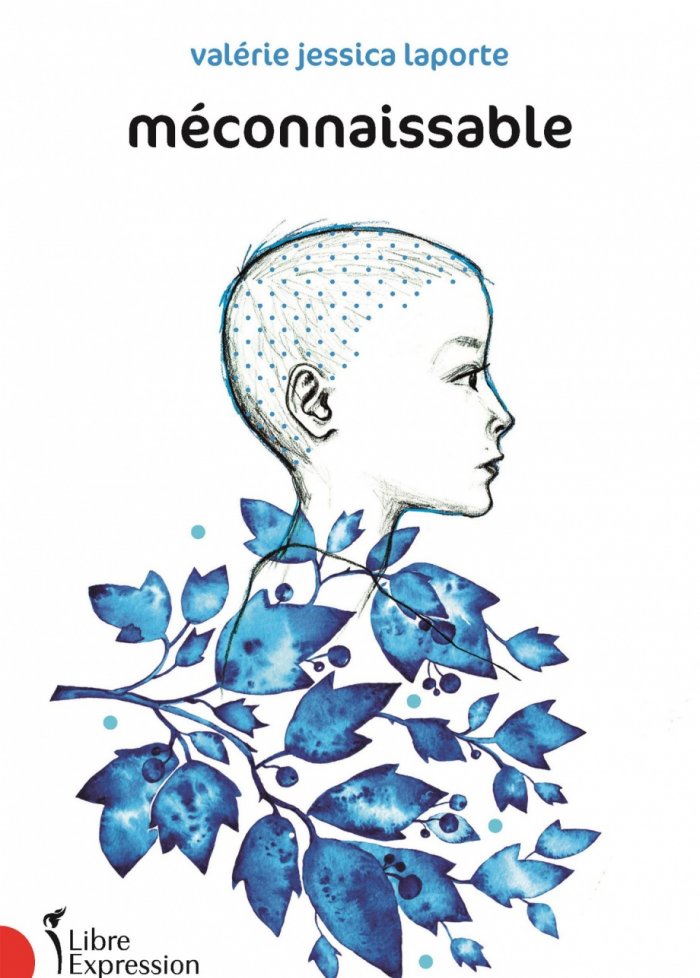 M&eacute;connaissable