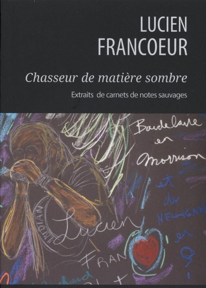 Chasseur de matière sombre