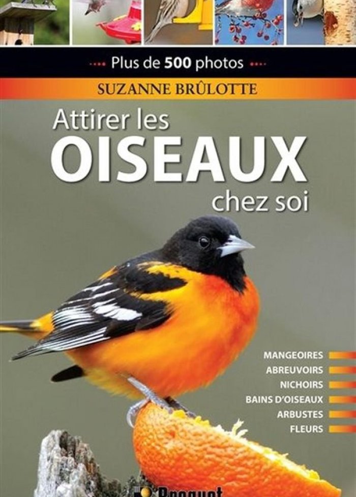 Attirer les oiseaux chez soi n. &eacute;d.