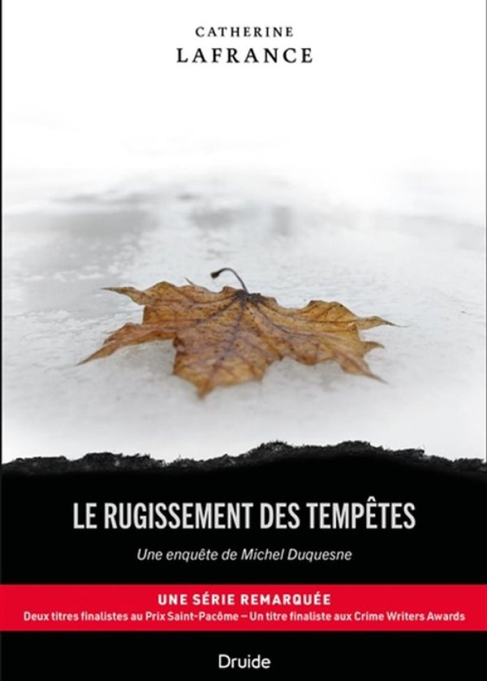Le rugissement des temp&ecirc;tes : une enqu&ecirc;te de Michel Duquesne
