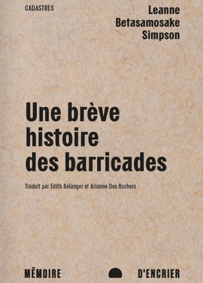 Une br&egrave;ve histoire des barricades