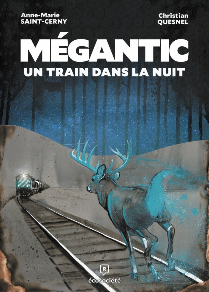 M&eacute;gantic, un train dans la nuit