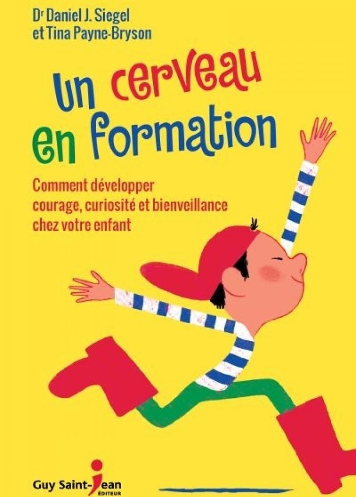 Un cerveau en formation
