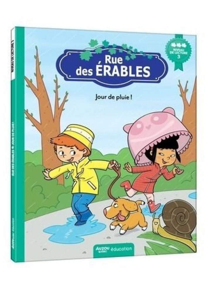 Rue des &Eacute;rables : jour de pluie!