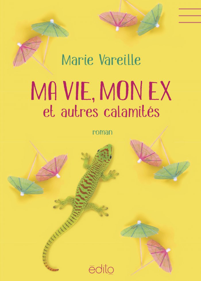 Ma vie, mon ex et autres calamit&eacute;s