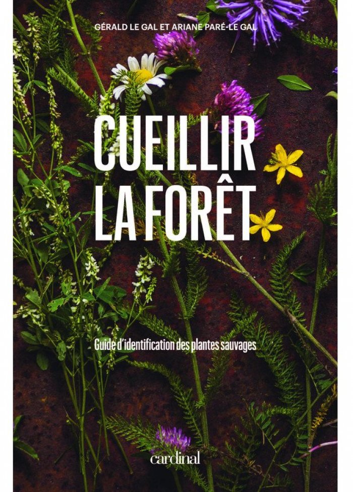 Cueillir la for&ecirc;t : guide d'identification des plantes sauvages