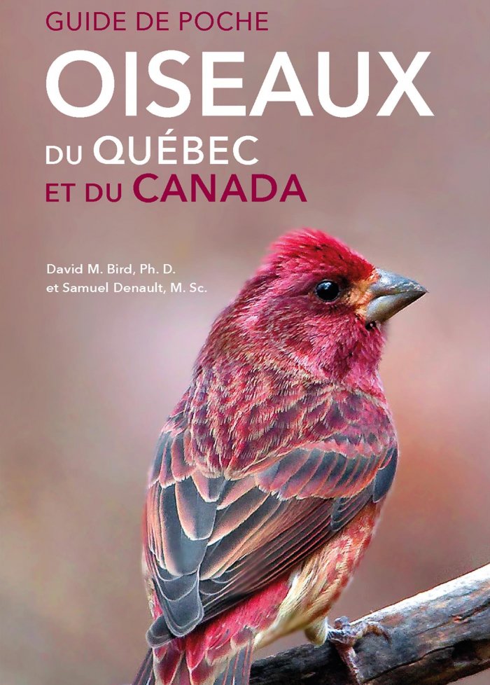 Oiseaux du Québec et du Canada : guide de poche