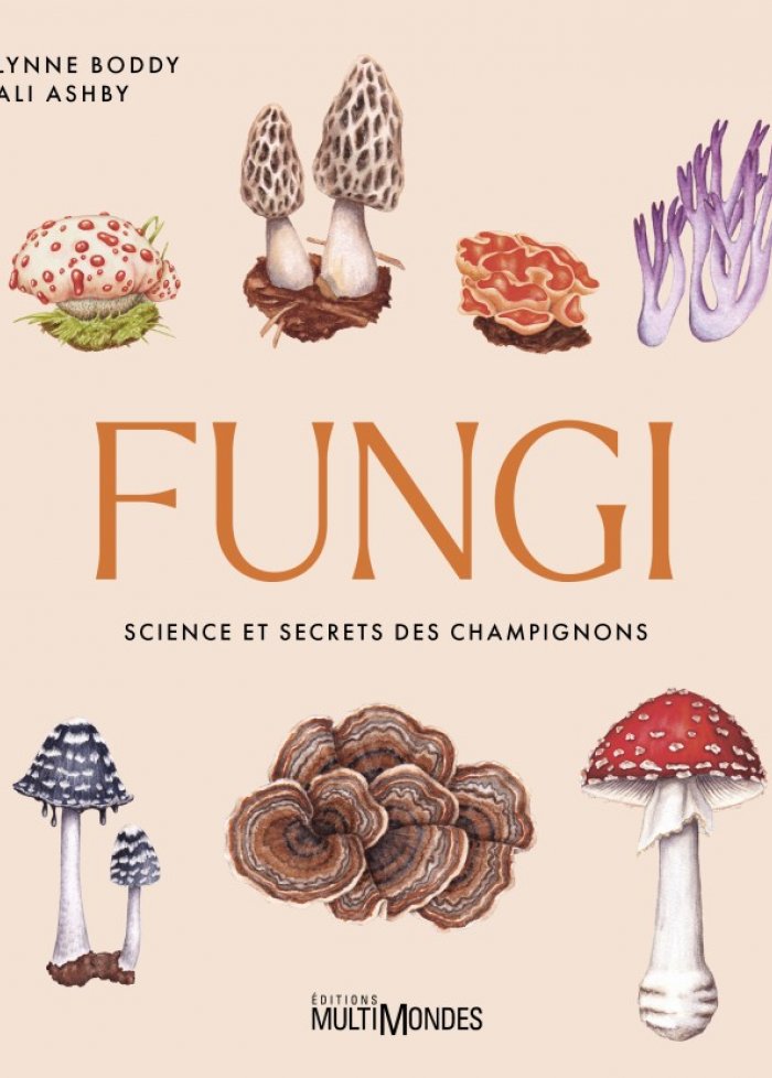 Fungi : science et secrets des champignons